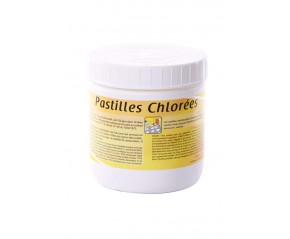 Javel pastilles (boite de 500 grs - 145 pastilles)